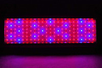 Hort Americas Offers OSRAM LED Horticulture Light