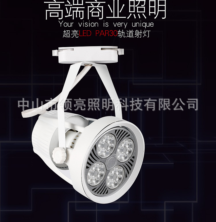 Track Lamp,Bracket,PAR30,20W,LED,Couture