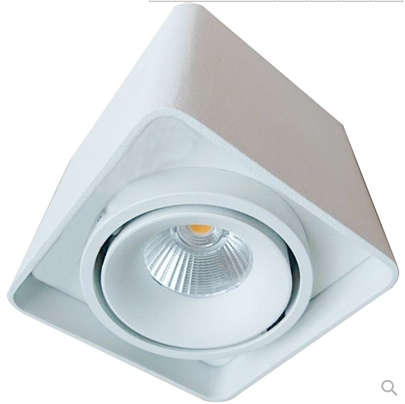 Modern White Black LED Down Light