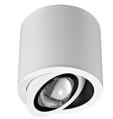 Raynice Modern white fixed type spotlight -7378