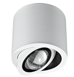 Raynice Modern white fixed type spotlight -7378