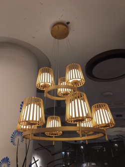 simple,indoor,chandelier lamp