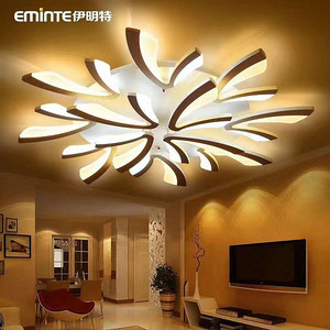 European-style,simple,indoor,ceiling,lampMD011