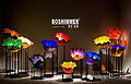 Boshimmer  modern interior glass lamp colorful dream