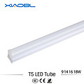 XBL C tube 18W T5 lamp tube