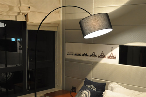 Pictures of Fashionable Floor Lamps/One of Which Is to Your Taste