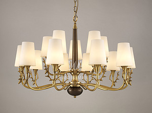 Qilang 17027315 series of American elk chandelier lamp