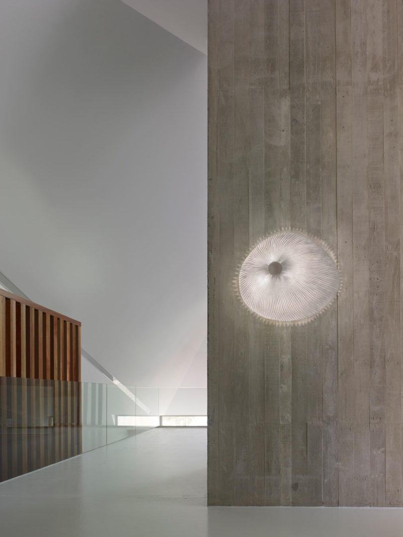 ONN Collection of Pendant Lamp