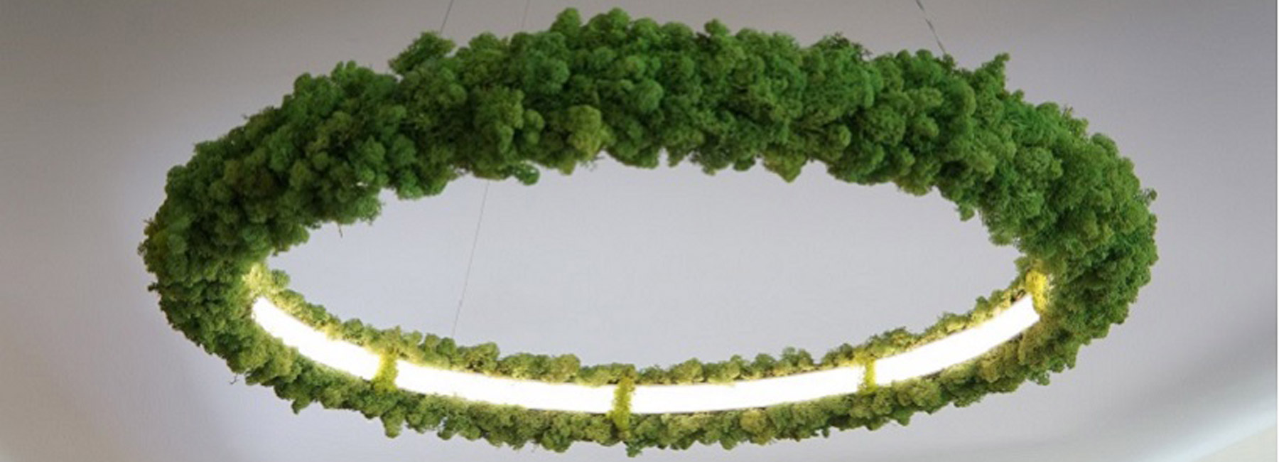 The Green Pendant Lamp
