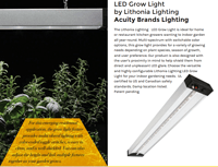 A Downlight and Grow Light From Acuity Brand