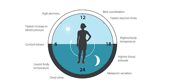 Scientists have Studied Light’s Impact Win Nobel