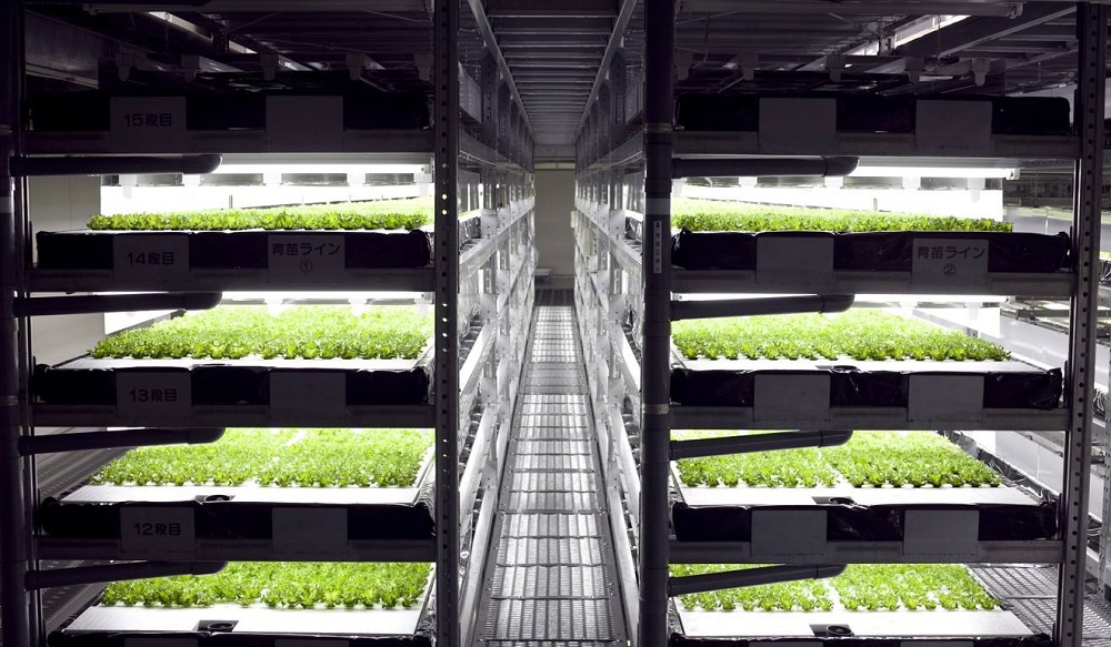 Fluence Bioengineering Launches New Horticulture Lighting Solutions