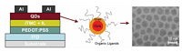 Hybrid Quantum Dot Light Emitting Electrochemical Cells