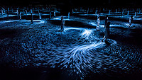 Uses Lighting To Create A Sea Of Spiralling Whirlpools Inside A Melbourne Art Museum.