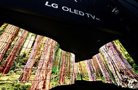 LG OLED Canyon' Amazes CES Visitors