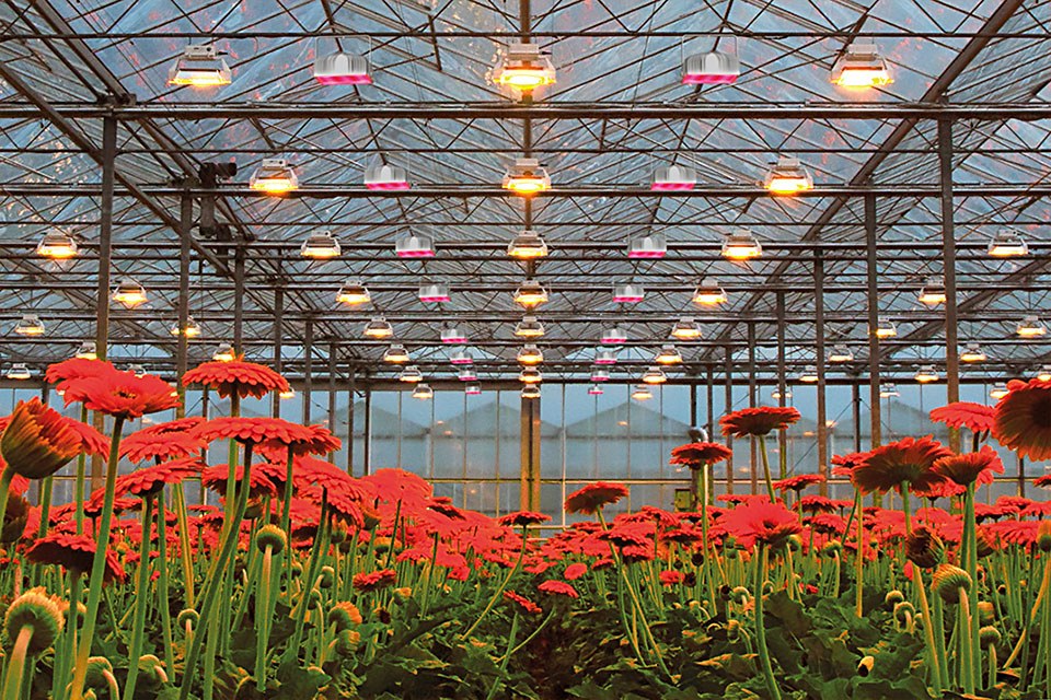 Plessey's Announces Hyperion Family High-Power Horticultural LED Grow Lights