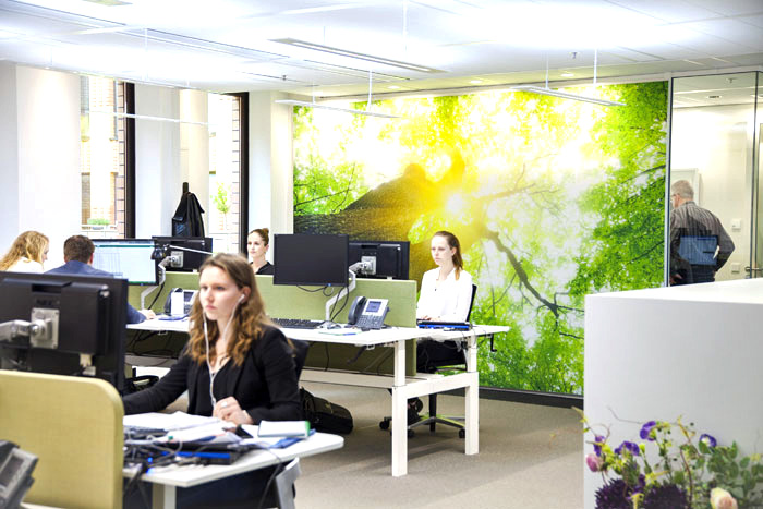 Human-centric Office Lighting ‘Improves Productivity’