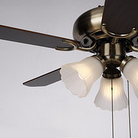 What Are the Dimensions of Ceiling Fan Lamps? How to Choose Ceiling Fan Lamp?