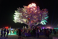 Communal Light
