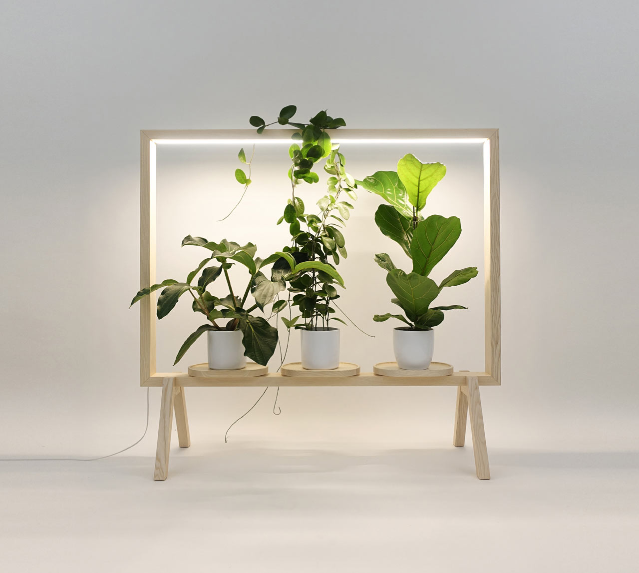 GreenFrame Adds a Window of Greenery Anywhere