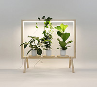 GreenFrame Adds a Window of Greenery Anywhere