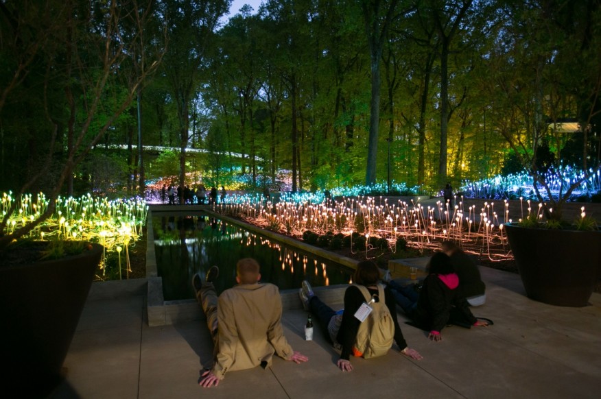 Bruce Munro: Light in the Garden