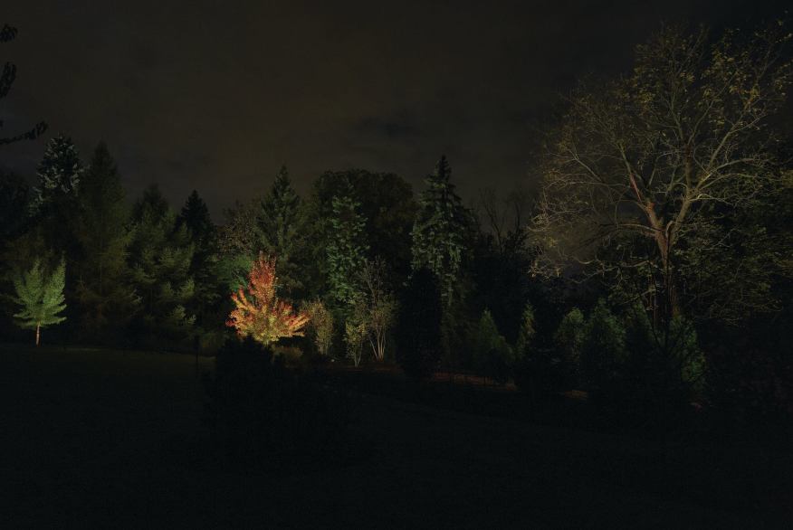 Attending the International Landscape Lighting Institute Workshop