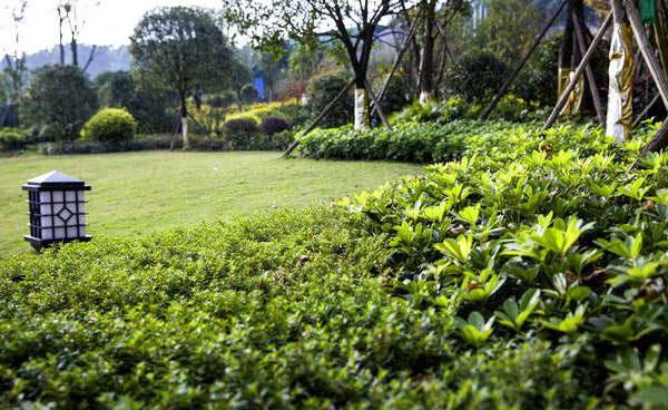 What is Lawn Lamp?