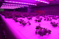Current by GE Announces Its Broadest Portfolio of New Product Releases