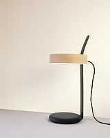 A Flexible Lamp Named Counterpoise