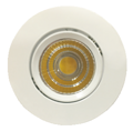 Round whitish eye lamp （white middle ring）