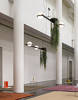 Palma Introduces Plants and Lighting to Indoor Settings