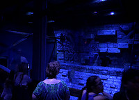 Altman’s LED Luminaires Creates Nocturnal Lighting for Night Creatures at Zoo