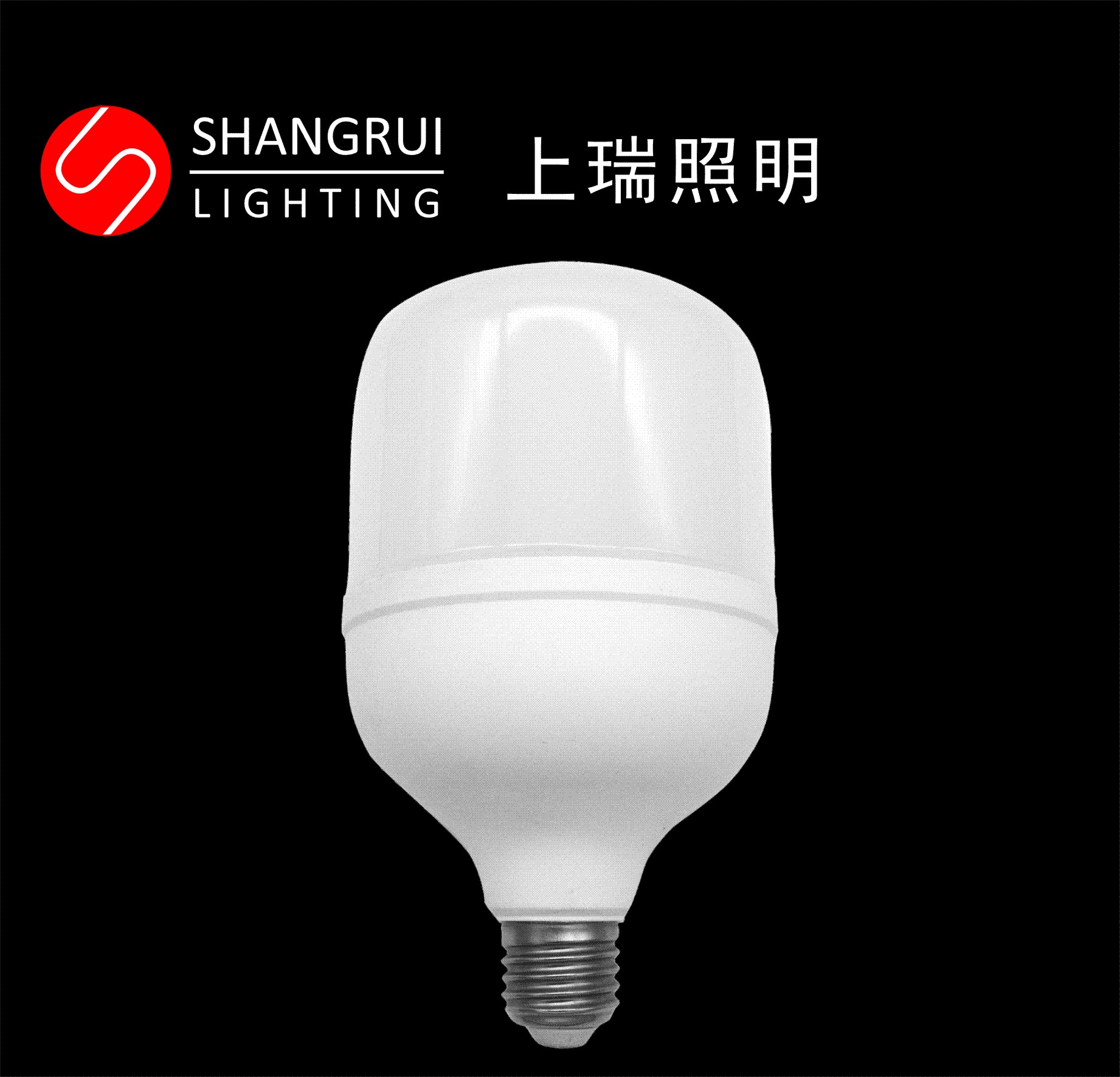 T100-S T lamp bulb plastic coated aluminum shell package structure