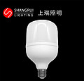 T100-S T lamp bulb plastic coated aluminum shell package structure