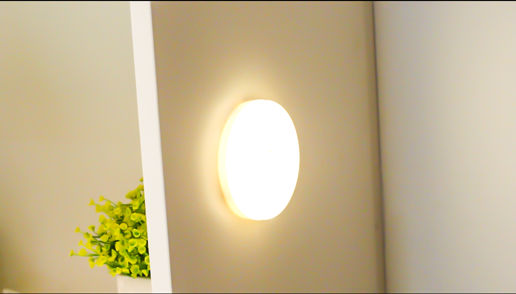 Motion Sensor Light