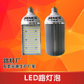 Jienes  LED road lamp replacement high-pressure sodium lamp 50W road bulb