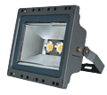 LED flood light gold diamond COB