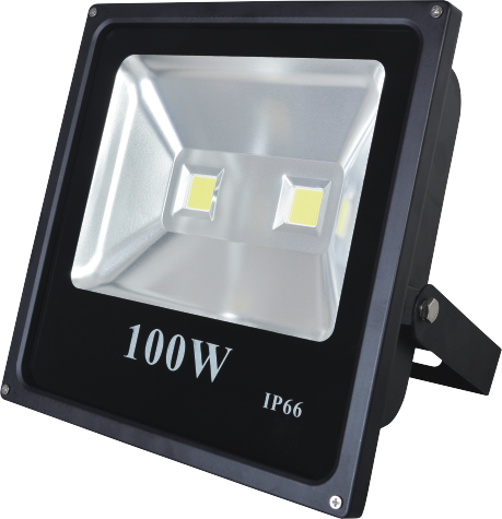 LED Flood Light SMD