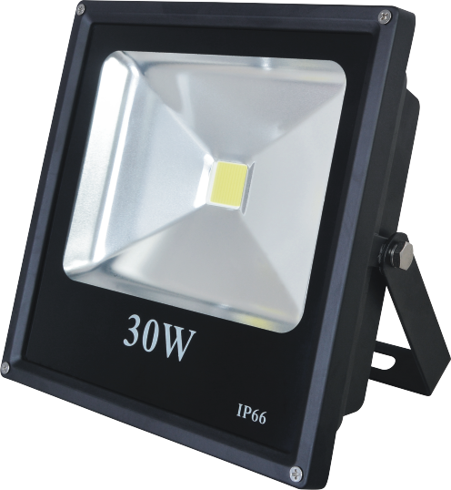 LED Flood Light SMD