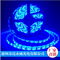 Liang Yong Wei LED5050 lamp belt