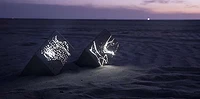 Designers Light Up Concrete Blocks on The Beaches Of San Diego