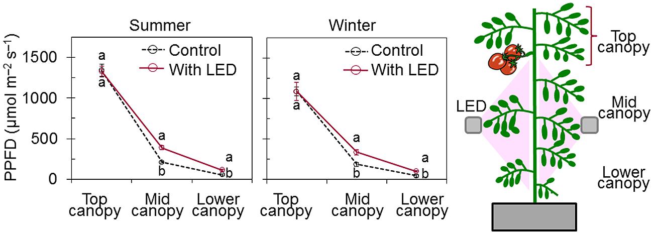 Nighttime Supplemental LED Inter-lighting Improves Growth and Yield of Single