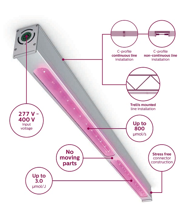 Horticultural Lighting Products Launched by Signify and Fluence Bioengineering