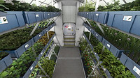Osram LEDs To Grow NASA’s Food Products