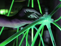 Alice Bonicelli Redefines Interiors With Bio-luminescent Installation