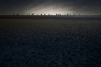 Studio Roosegaarde Connects Man + Landscape By Illuminating 32km Dutch Dike Engineering Marvel