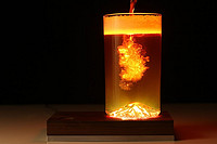Turn Anything Into A Lamp Fixture With Baselamp By Luke Lamp Co.