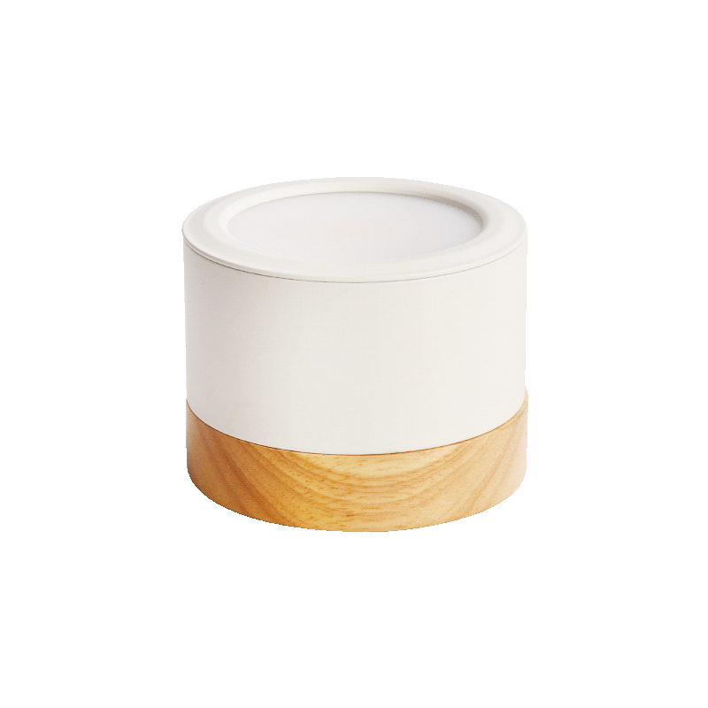 Nordic ceiling light