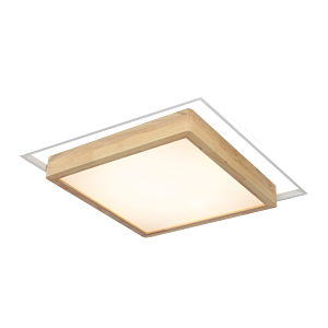 Nordic ceiling light